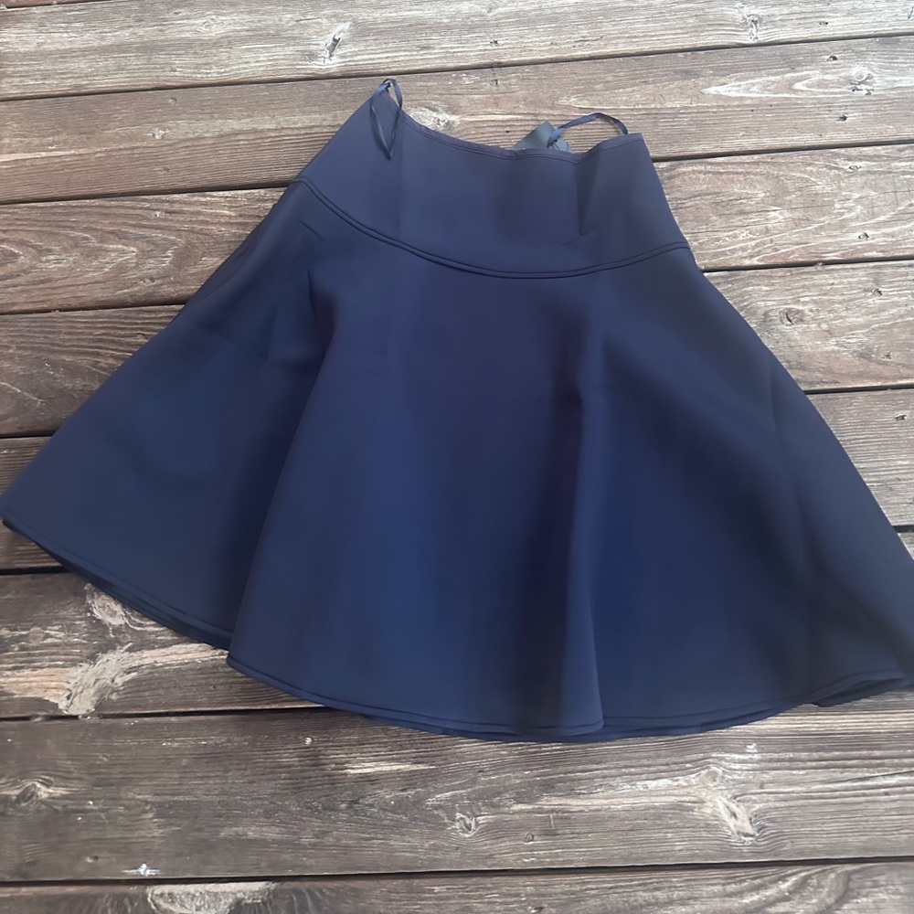 Lizwear Elegant Navy Skater Skirt